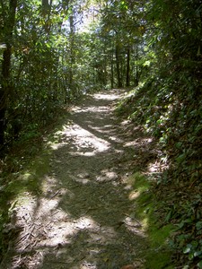 The trail above the falls isn't paved, but still very good