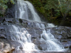 Highlight for Album: Laurel Falls