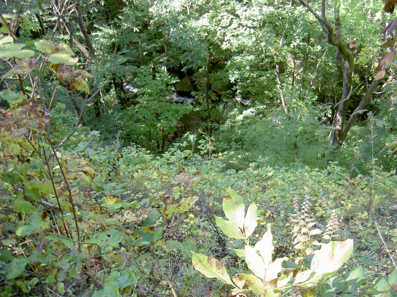 One part of the trail is fairly steep, this is basically looking straight down