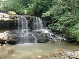 Highlight for Album: Laurel Run Park