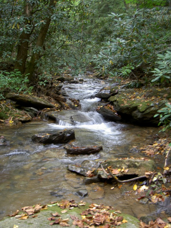 A creek crossing along the way