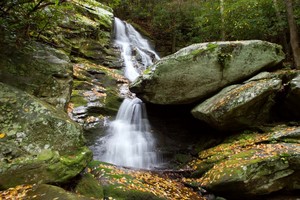 Highlight for Album: Little Lost Cove Creek Falls