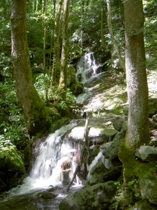 A creek on the Tremont Road where a bridge crosses it. Maybe more than usual flow from Ivan? GPS roughly: 32.62456 -83.68205