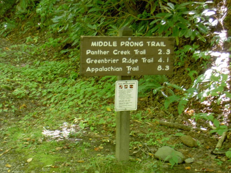 Trailhead sign for the left trail, no sign on the right trail