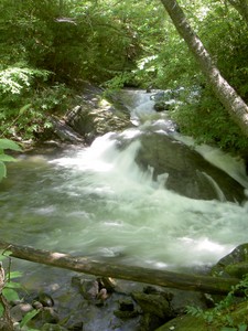 The creek just above the bridge