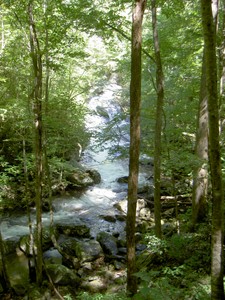 The lower falls, a long sliding groove of water