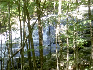 The lower falls from the side, further up the trail