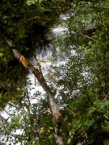 Upper part of the lower falls