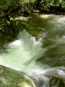 Just some interesting waterflow, LOTS of falls and cascades all up and down this creek