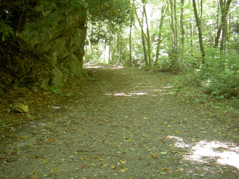 Nice trail, old railroad bed and I think road for some years after that?