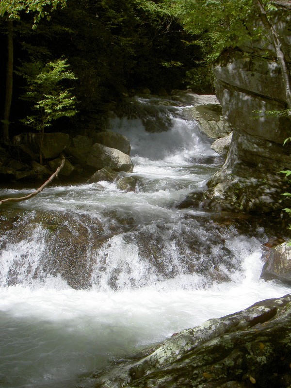 Back at the lower falls, followed a steep/dangerous trail down to a large rock jutting out into it