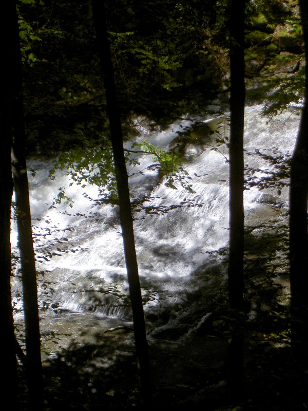 More of the lower from the trail