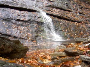 Highlight for Album: Mill Creek Falls