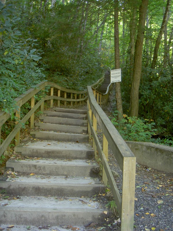 From the parking area you immediately start up 159 steps. Yes there's a bench to rest on at the top