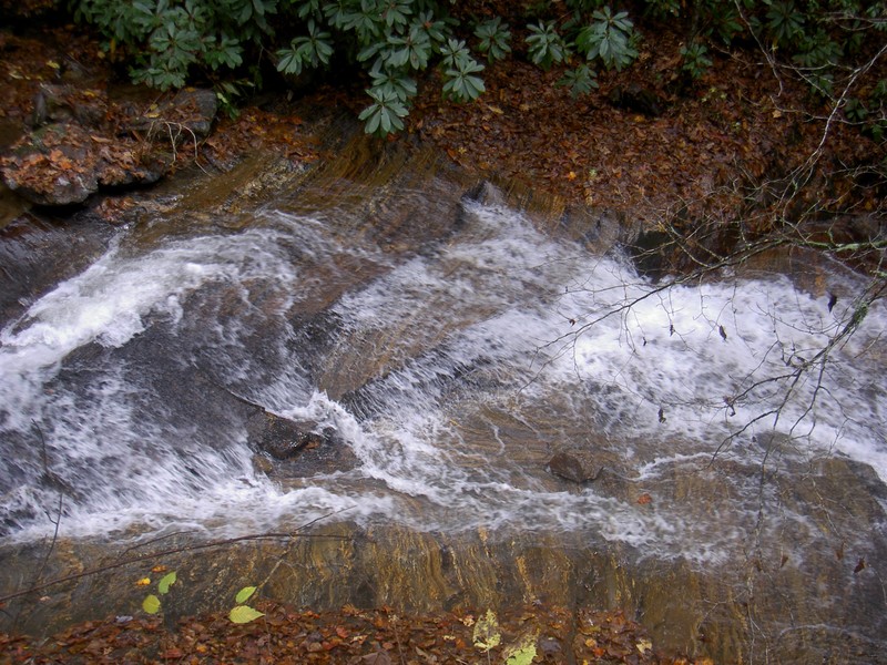 A creek while searching for Rough Butt Falls