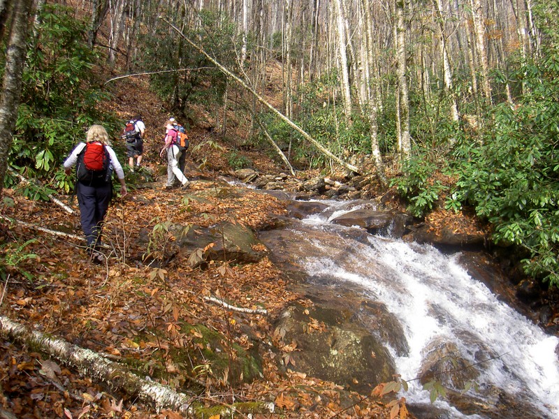 We did a bit of bushwhacking trying to find Rough Butt