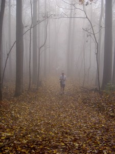 Some Wanderings members emerging from the fog