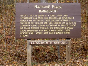 On the small forest service road above slick rock falls