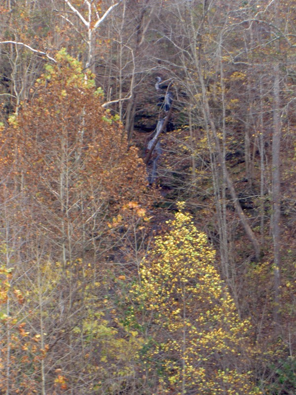 Reportedly very big after a lot of rain