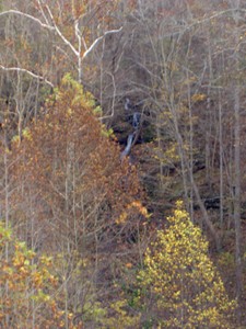 Roadside cascade at the 