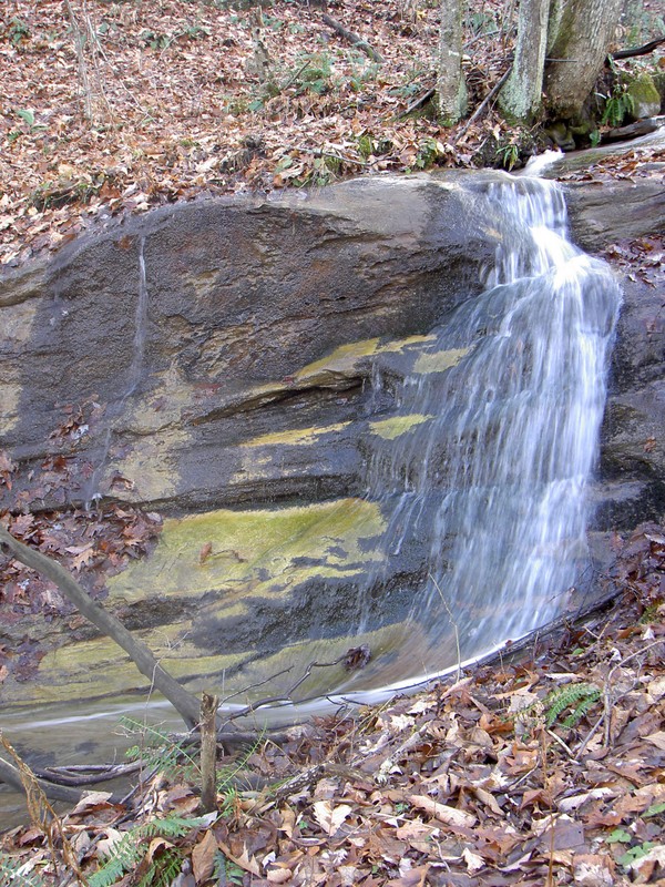 On an unnamed creek just up 619 from Norton heading towards High Knob. GPS: 36.9153 -82.6358