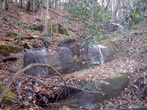 At a small pulloff right at the creek and falls just visible in the distance.