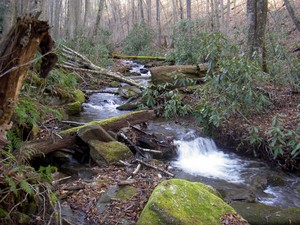 Some small cascades on Stony Creek