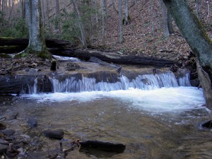 Small cascade over a log actually