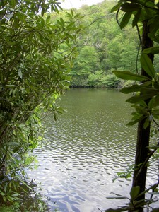 Bark Camp Lake