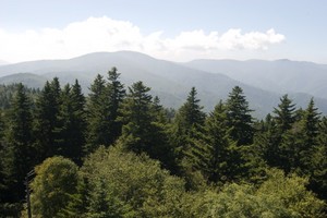 From the fire tower on Mt. Sterling