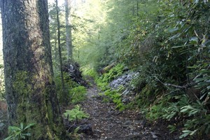 The Mt. Sterling trail