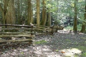 Split-rail fence at the Little Greenbrier School site