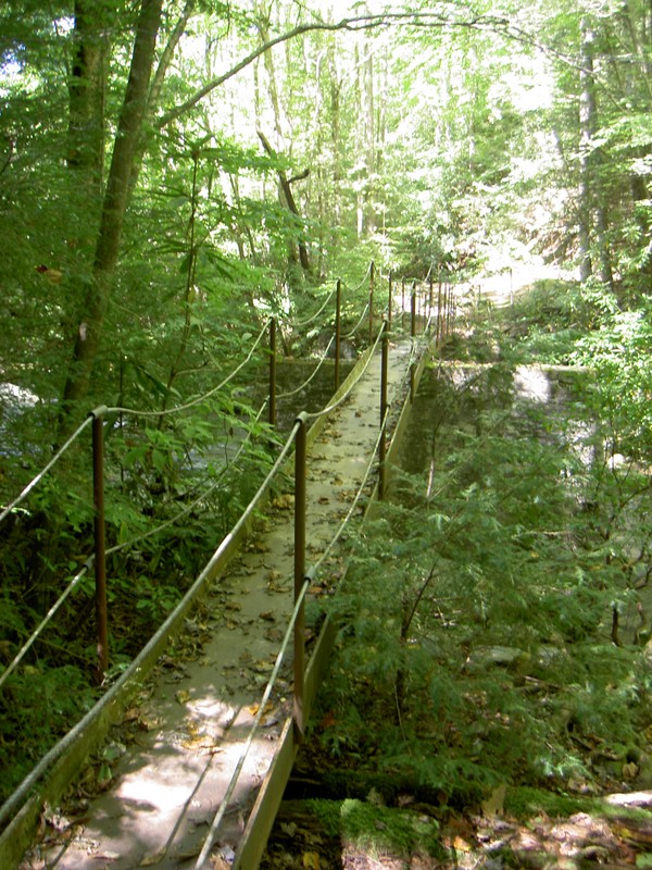 Footbridge on the right trail on the Lynn Camp Prong at the end of the Tremont Road