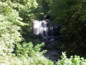 Meigs Falls viewable roadside on the Little River Road