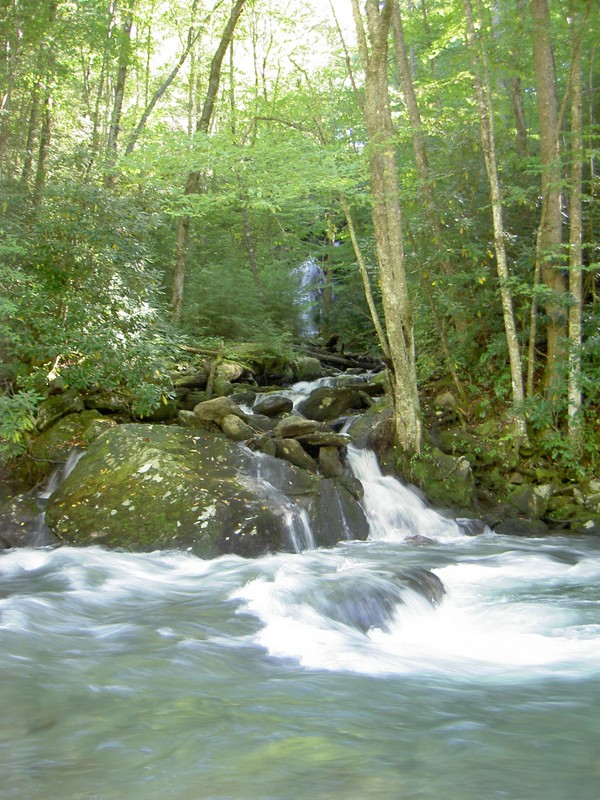 Martins Creek Falls (AKA Mannis Branch Falls). Roadside on the Little River Road but barely visible because of trees