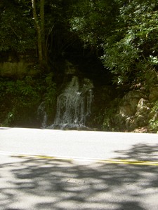 Cliff Branch Falls, roadside on 441 just north of the Oconaluftee visitor center
