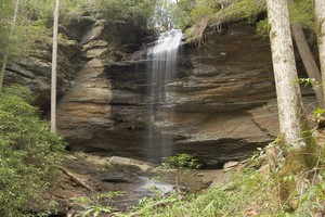 Highlight for Album: Moore Cove Falls