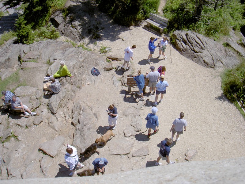 Looking down from the overlook tower