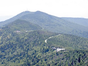 Highlight for Album: Mount Mitchell