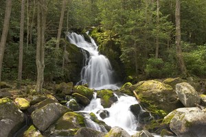 Highlight for Album: Mouse Creek Falls