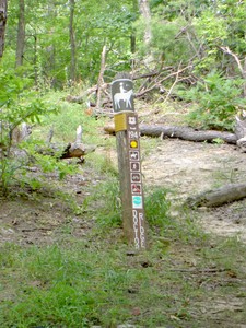 Doctor Ridge Trail (CNF 194) is at a pulloff just before the entrance to Old Forge.