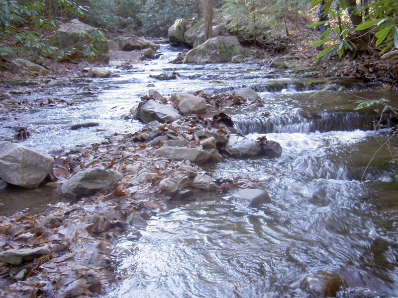 Cassi Creek
