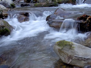 Back down to Cassi Creek