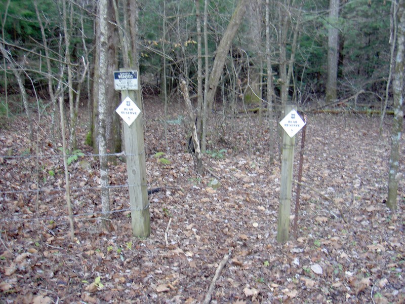 Entrance to the National Forest area after crossing a cow pasture