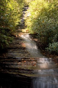 Angel Falls from the viewing platform