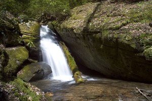 Highlight for Album: Phillips Creek Falls