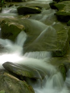 All the creeks in the area are up after Ivan, just playing with some shots of this one