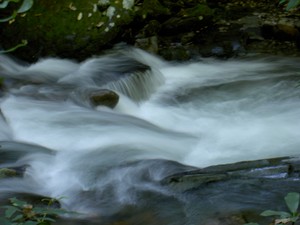 More creek shots...