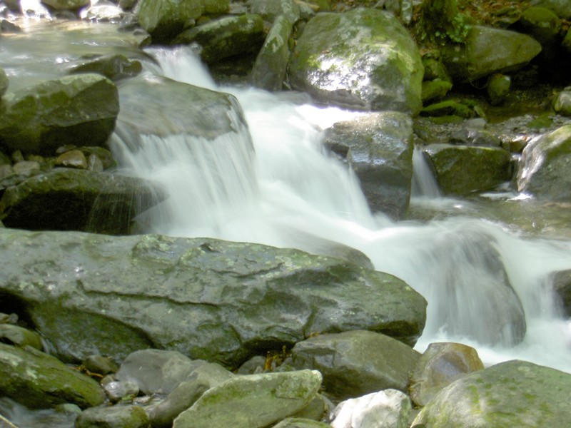 I took lots of side excursions to see the creek which was up and sure singing a song