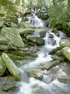 Multiple small wet-weather cascades were passed, some splashing across the trail